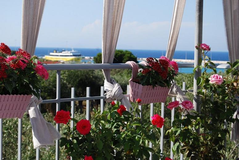 Killini Cottage Studio The Small Cyclades Kastro-Kyllini Buitenkant foto